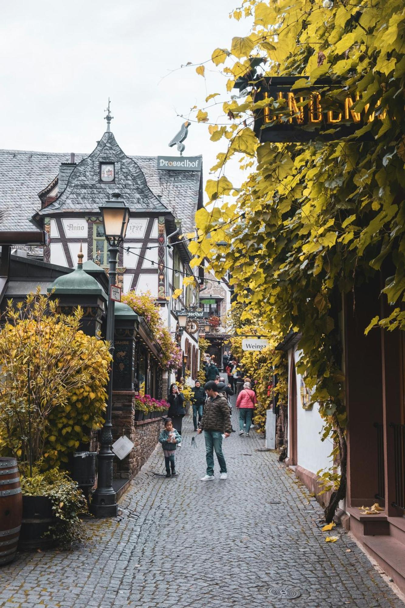 Hotel Zur Loreley - Garni Sankt Goar Zewnętrze zdjęcie