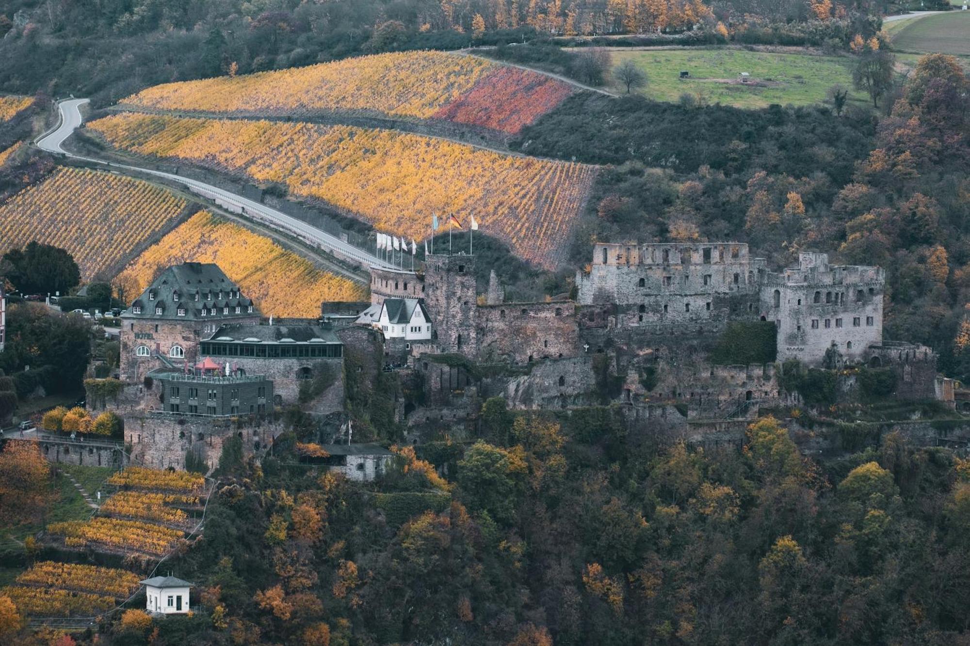 Hotel Zur Loreley - Garni Sankt Goar Zewnętrze zdjęcie